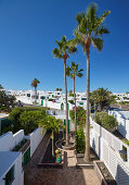 Blick auf Häuser mit Palmen in Costa Teguise, Atlantik, Lanzarote, Kanaren, Kanarische Inseln, Islas Canarias, Spanien, Europa