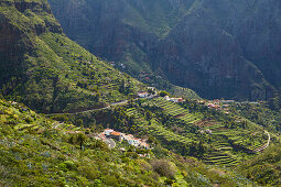 Blick über üppiges Grün auf Masca, Teno Gebirge, Teneriffa, Kanaren, Kanarische Inseln, Islas Canarias, Atlantik, Spanien, Europa