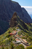 View across luxuriant vegetation at Masca, Teno mountains, Tenerife, Canary Islands, Islas Canarias, Atlantic Ocean, Spain, Europe