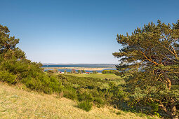 Landschaft am Dornbusch, Insel Hiddensee, Mecklenburg-Vorpommern, Deutschland