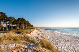 Strand, Gellen, Insel Hiddensee, Mecklenburg-Vorpommern, Deutschland