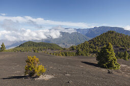 Wanderung auf dem PR LP 14, Wanderweg, Parque Natural de Cumbre Vieja, UNESCO Biosphärenreservat, La Palma, Kanarische Inseln, Spanien, Europa