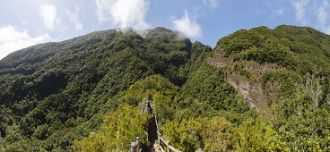 Mirador Espigon Atravesado, view point at the eastern slope of the Caldera de Taburiente, Los Tilos, Parque Natural de las Nieves, UNESCO Biosphere Reserve, La Palma, Canary Islands, Spain, Europe