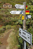 Schilder, Wanderweg, Wanderung zu den Dragos Salvatierra, Drachenbäume, bei Santo Domingo de Garafia, UNESCO Biosphärenreservat, La Palma, Kanarische Inseln, Spanien, Europa