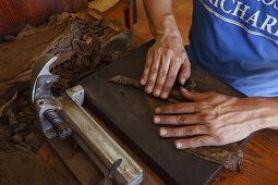 Hände beim Formen einer Zigarre, Arbeiter, Mann, Zigarrenmanufaktur, Zigarren, Brena Alta, UNESCO Biosphärenreservat, La Palma, Kanarische Inseln, Spanien, Europa