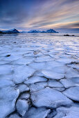 Icy coast with snow-covered mountains in background, Lofoten, Nordland, Norway