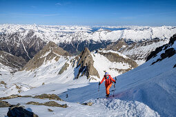 Woman backcountry-skiing ascending towards Wilde Kreuzspitze, Wilde Kreuzspitze, valley of Pfitschtal, Zillertal Alps, South Tyrol, Italy