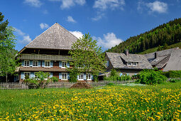 Traditional houses of Black Forest in Menzenschwand, Albsteig, Black Forest, Baden-Wuerttemberg, Germany
