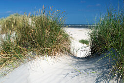 Sand Dune, Sky, Baltrum, North Sea, East Frisian Islands, East Frisia, Lower Saxony, Germany, Europe