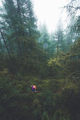 Climber in the misty forest, E5, Alpenüberquerung, 4th stage, Skihütte Zams,Pitztal,Lacheralm, Wenns, Gletscherstube, Zams to  Braunschweiger Hütte, tyrol, austria, Alps