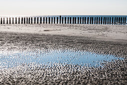 Pfähle am Strand, Wangerooge, Ostfriesland, Niedersachsen, Deutschland