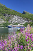 Blooming sally in front of crusie ship and Geirangerfjord, Geiranger, More and Romsdal, Fjord norway, Southern norway, Norway, Scandinavia, Northern Europe, Europe
