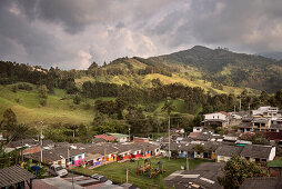 grüne Berglandschaft mit Palmen, Salento, UNESCO Welterbe Kaffee Dreieck (Zona Cafatera), Departmento Quindio, Kolumbien, Südamerika