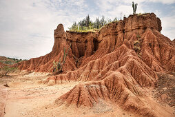 surreal landscape at Tatacoa desert (Desierto de la Tatacoa), township Villavieja nearby Neiva, Departmento Huila, Colombia, Southamerica