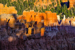 light and shadow in Bryce Canyon, Utah, USA