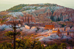 Sonnenaufgang am Bryce Canyon, Utah, USA