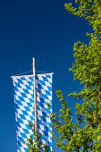 große Bayernfahne mit weiß-blauem Rautenmuster hängt an hölzernem Fahnenmast, im Vordergrund grüne Zweige