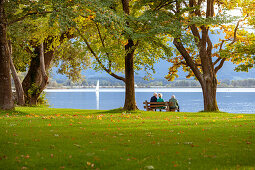 drei ältere Personen sitzen unter großen Bäumen auf einer Parkbank und blicken auf den Chiemsee