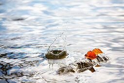 bunte Buchenblätter liegen auf einem Stein, daneben spritzt Wasser hoch