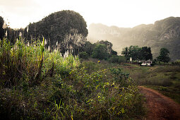 Valle de Vinales, UNESCO Nationalpark, Pinar del Rio, Kuba, Karibik, Lateinamerika, Amerika