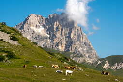 Der Gipfel des Corno Grande überragt die Hochebene Campo Imperatore, Gran Sasso Nationalpark, Abruzzen, Italien