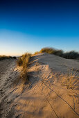 Trail to the beach through dunes in winter, East Frisian Islands, Spiekeroog, Lower Saxony, North Sea, Germany