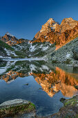 Monviso im Alpenglühen spiegelt sich in Bergsee, Monte Viso, Monviso, Valle di Po, Cottische Alpen, Piemont, Italien