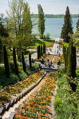 Stairs and flowerbeds with tulips in spring, Mainau Island, Lake Constance, Baden-Württemberg, Germany