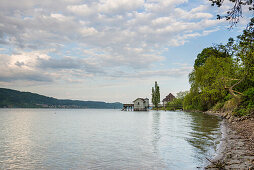 Bodman, Lake Constance, Landkreis Konstanz, Baden-Württemberg, Germany