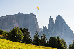 Paraglider in front of the Schlern Mountains, Compatsch, Seiser Alm, South Tyrol, Italy