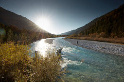 Bayrisch Kanada, Isartal bei Hinterriß, Isar, Bayern, Deutschland