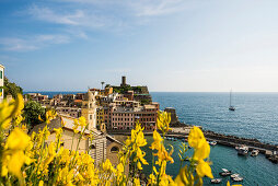 Vernazza, UNESCO Weltkulturerbe, Cinque Terre, Riviera di Levante, Provinz La Spezia, Ligurien, Italien