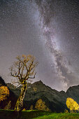 Nachthimmel mit Milchstraße über Ahorn und Karwendelgipfel, Großer Ahornboden, Eng, Naturpark Karwendel, Karwendel, Tirol, Österreich