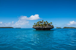 Eine kleine pilzförmige Insel mit Palmen und Büschen liegt im türkisfarbenen Wasser, Fulaga Island, Lau Group, Fidschi, Südpazifik