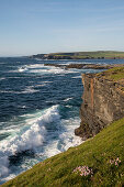 The Cliff Walk in Kilkee stretches from the bay to the north and south along the coast and shows the rough beauty of the landscape where the sea crashes agains the edge of the land, Kilkee, County Clare, Ireland, Europe