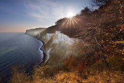 Chalk cliffs, Jasmund National Park, Rügen, Baltic Sea, Mecklenburg-Vorpommern, Germany