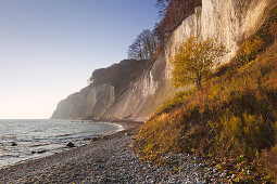 Chalk cliffs, Jasmund National Park, Rügen, Baltic Sea, Mecklenburg-Vorpommern, Germany