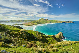 Allans Beach from Sandymount Recreation Reserve, Otago, South Island, New Zealand, Oceania