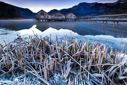 Three wooden huts with jetty standing in the Kochelsee, in the foreground the lake shore with frozen reeds, in the background snow-capped mountains, was taken at sunset in winter, Schlehdorf, Voralpenland, Bavaria, Germany