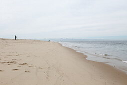 Beach at Meadow Beach, Cape Cod, Massachusetts, USA