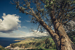 Coastal landscape in the Azores, Sao Miguel, Azores, Portugal, Atlantic Ocean, Atlantic Ocean, Europe