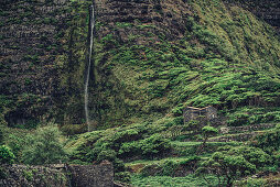 Waterfall at Faja Grande, Faja Grande Flores, Azores, Portugal, Atlantic Ocean, Atlantic Ocean, Europe,