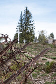 View of the former battlefield at LINGEKOPF from World War I, Museum of the Lingekopf Memorial, Orbey, Alsace, France, Europe