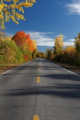 Landstraße im Herbst, Quebec, Kanada