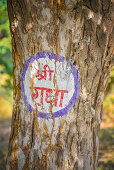 Govardhan, Vrindavan, Uttar Pradesh, Indien, Der Name der Gottheit Radha wird überall in Vrindavan an Bäume und Häuser gemalt