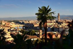 Blick mit Palmen vom Piazza Michelangelo auf Florenz, Toscana, Italien