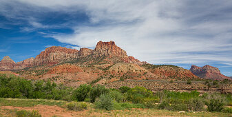 Red mountains with green vegetation in Zion National Park, USA