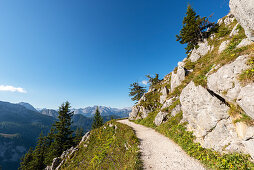 Path on Jenner, Berchtesgaden National Park, Berchtesgadener Land, Upper Bavaria, Bavaria, Germany, Europe