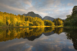 Moorweiher bei Oberstdorf, Allgäu, Bayern, Deutschland