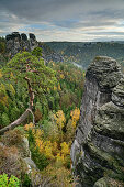 Rock towers in the Elbe Sandstone Mountains, Bastei, Elbe Sandstone Mountains, Saxon Switzerland National Park, Saxon Switzerland, Saxony, Germany